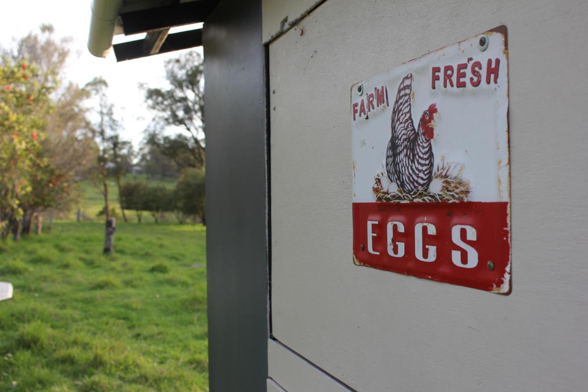 Bryn Glas Farm Stay Moruya Exterior foto