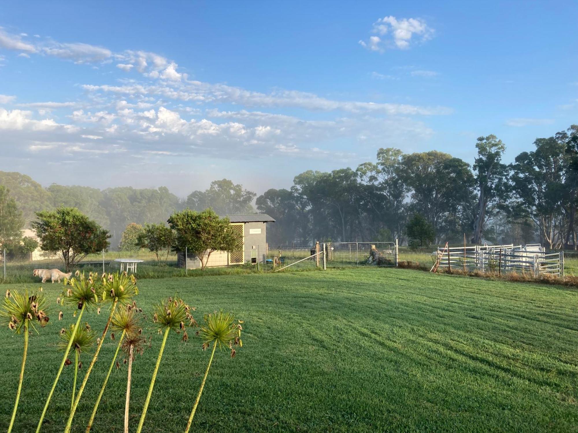 Bryn Glas Farm Stay Moruya Exterior foto