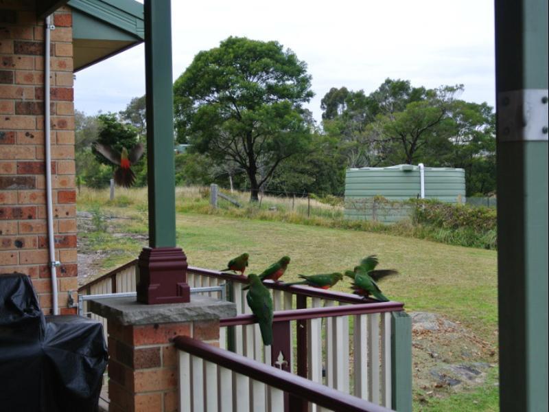 Bryn Glas Farm Stay Moruya Exterior foto